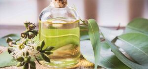  Body Oils & Their Incredible Skin Benefits